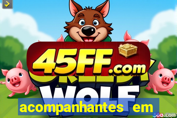 acompanhantes em porto seguro